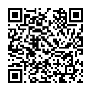 又怎么能让她这一巴掌落到女儿那娇媚的小脸上呢二维码生成