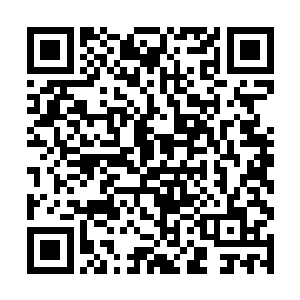 又怎能将自己的价值观强加在两个稚嫩的丫头身上呢二维码生成