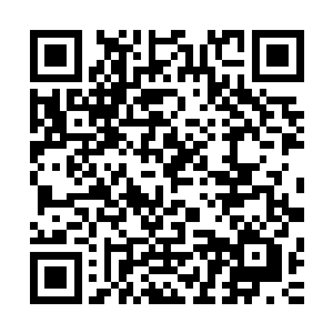 又想到了刚才苏小爱和霸天两个人一劲儿的说自己坏话的事情二维码生成