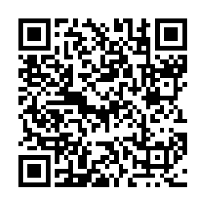 又想想小时候那个流着鼻涕说要跟他在一起玩的小姑娘二维码生成