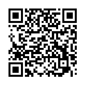 又或关键是桃树梳理联通的庞大地脉网络二维码生成