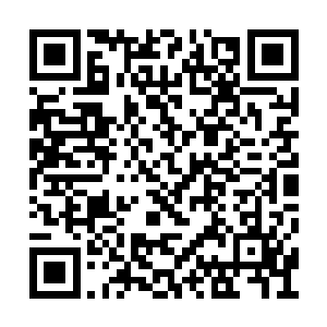 又或是棺木被掘出如同废材般摆在坟头或地面上二维码生成