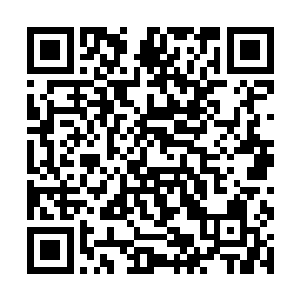 又或是老鼠隐身从后方突袭的完美时机以及爆炸输出二维码生成