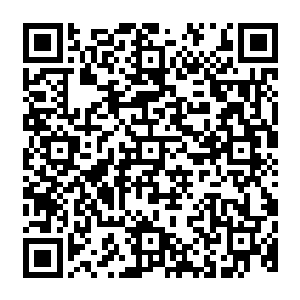 又或者是林老夫人又来同她说了什么话……但是即便他拼命想要将另一个念头按捺下去二维码生成