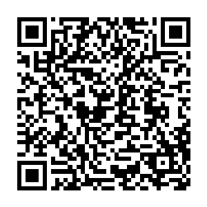 又或者是被最近两年自己在国内歌坛的地位明显不复过往给刺激到了二维码生成