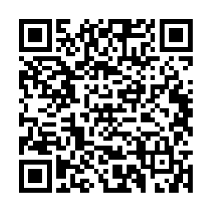 又或者说丁主任给以王家为主的三家什么好处了吗二维码生成