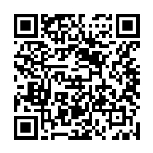 又或者说这本就是道元境强者濒临死劫的一种自救之法二维码生成