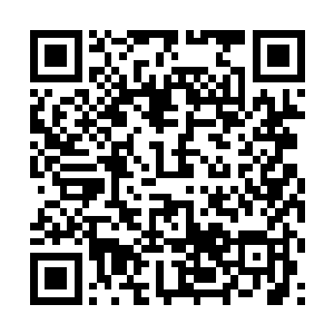 又或者这不死峰上的长生不死草等先天奇异灵药朱果二维码生成