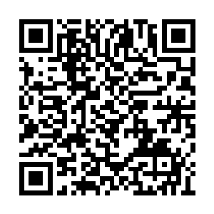 又或者难道他的医术真的比刘一维他们还要厉害二维码生成