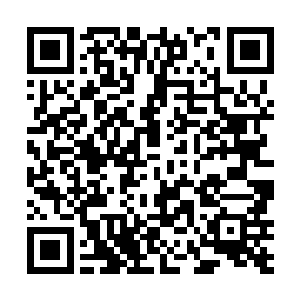 又把剩下两座至尊战堡白白推出来送死……小心他是将二维码生成