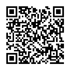 又拿了自己贴己的银子给她到城中珍宝阁买了银子二维码生成