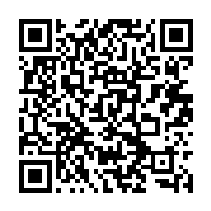 又拿出了一些上次炼制的辅助修炼的帝级灵丹服下二维码生成