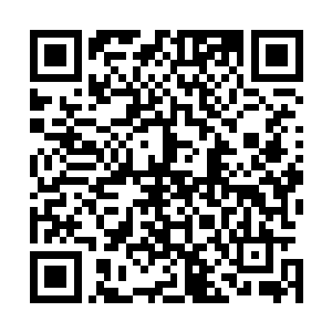 又拿尖石头在小腿后面隔着裤管下狠劲儿的划了一道血口子二维码生成