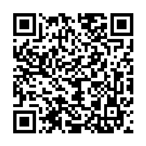 又搞到了一把可靠的射击系武器……受点精神污染也算值了二维码生成