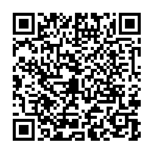 又时候帮衬着沐扬处理一些府中的事甚至比真正的儿媳妇儿还要周到二维码生成