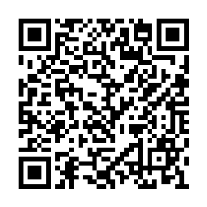 又是一连串骨头断裂的声音传进众人的耳朵里面二维码生成