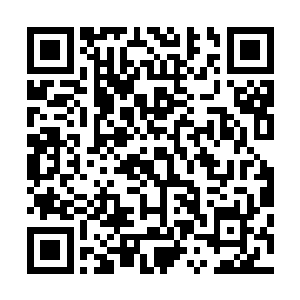 又是两道剑气轰杀了出去……只是跟之前的那两道剑气相比二维码生成