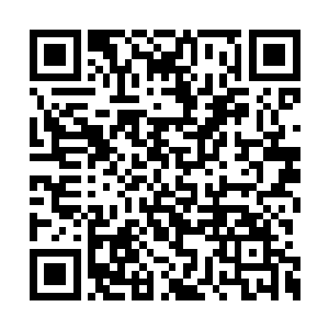 又是只用一招就斩杀了圣元无极境界的高手……二维码生成