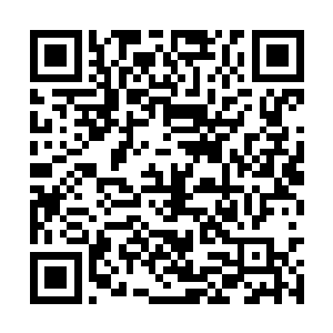 又是四股浩瀚而磅礴的气势从远处飞速的传播而来二维码生成