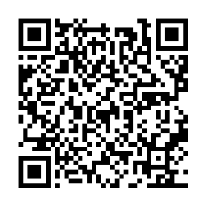 又是射出了两条紫色煞龙爆射向公孙麟斩出的刀芒二维码生成