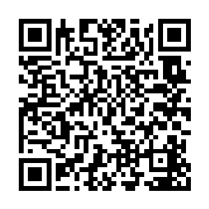 又是彻底弥补了之前因为施展禁招而损失的实力二维码生成