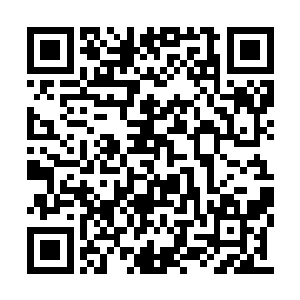 又是托请敖液这家伙炼制出来的保命丹药回生丹二维码生成
