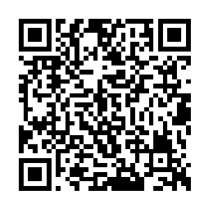 又是羡慕又是嫉恨的看着泰掌柜和陆掌柜的背影二维码生成