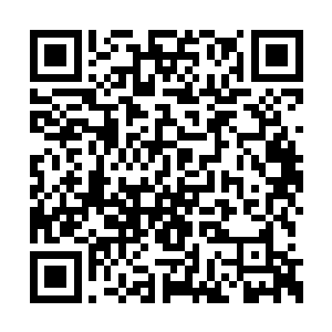 又是谁抠到非要等纯娱时尚股份拍卖的最后一天二维码生成