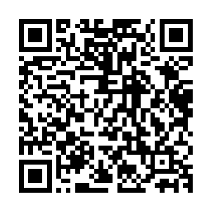 又是谁跑去楼下把橱柜底下之前江一妍送的两瓶红酒给拿上来的二维码生成