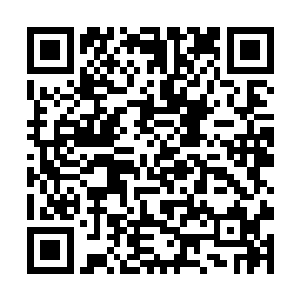 又有一个魔神主带着几十万符魔神赶到支援阻击虫子二维码生成