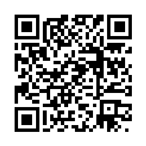 又有一只棕黄色的天竺鼠冲到了街上二维码生成
