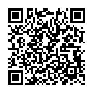 又有一名头上生着碧绿藤蔓的老者呵呵一笑的道二维码生成