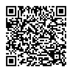 又有九幽素阴女帝留下的那缕先天之气将紫府仙婴严严实实缭绕起来二维码生成