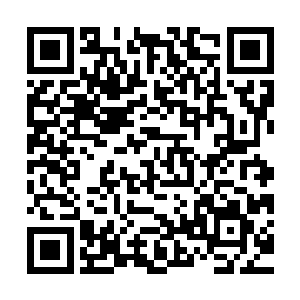 又有什么能让世界各地的同行经销商们觉得高大上的会议地点呢二维码生成