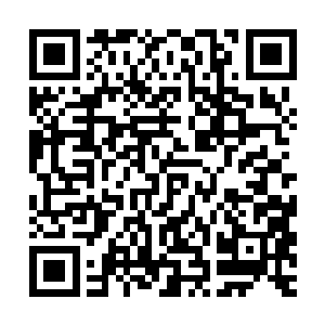 又有几个人能有机会把自己喜欢爱好的事情当成工作和事业来做二维码生成