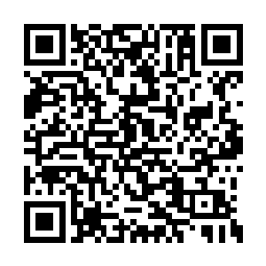 又有医生和冥修师不断往傀儡王的颈部大动脉中二维码生成