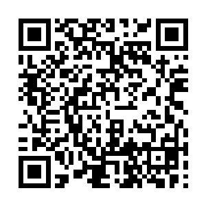 又有哪个女修敢随随便便左一件右一件宝物往外掏二维码生成