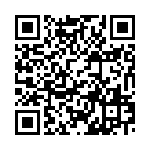 又有王枫的承诺与中国政府的支持二维码生成