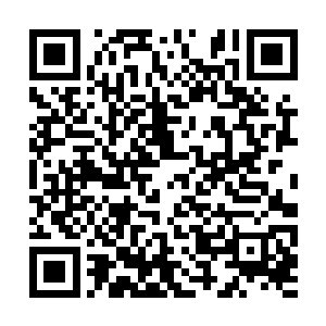 又有那等白瓷青花的天球瓶中插了宛如绣球般的花二维码生成