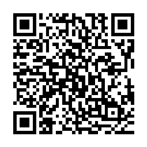 又朝着前方的以一面防弹玻璃割开密室之中的紫千幻挥了挥爪子二维码生成