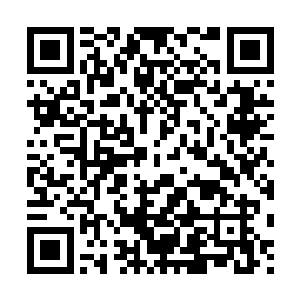 又没有一点天才少女该有的膨胀……这样好的小主人从哪里找去二维码生成