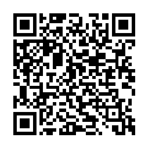 又没有钟家三夫人随时随地的指导精神指挥着他二维码生成