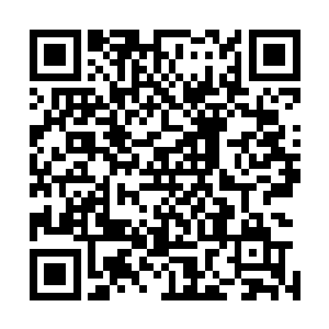 又浏览着他和一个叫安娜索菲亚－罗伯的小少女的开心合照二维码生成