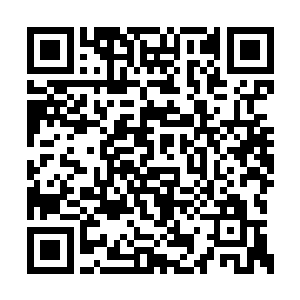 又浑身燃烧着火焰从那奇异的绿色湖水之中飞起二维码生成
