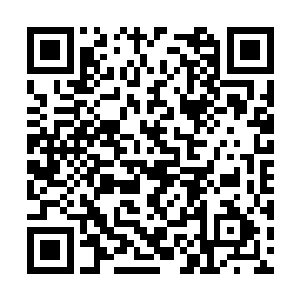 又用小竹夹子加了几块冰糖放进了陈丽红的茶杯里二维码生成