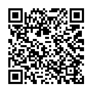 又看了一眼易红仙人和不隶属于她的罗生花和黑白山香二维码生成