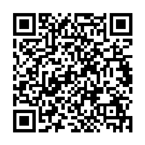 又看了一眼还在斜对面几十米外四处查看地形的范金河二维码生成