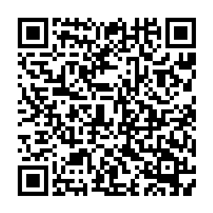 又看了看拿着手机神色淡定从容录视频的伍秀韵……大小姐是不是在高兴二维码生成