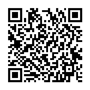 又看了看跟在身边的名务忍――她从那孩子的眼中看出了向往二维码生成