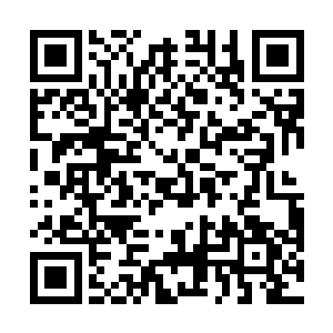 又看了看躺在白床上挣扎的马路大那恐惧和愤怒的眼神二维码生成